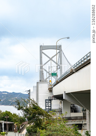 徳島県 鳴門海峡と大鳴門橋 徳島県 鳴門海峡と大鳴門橋 116288602