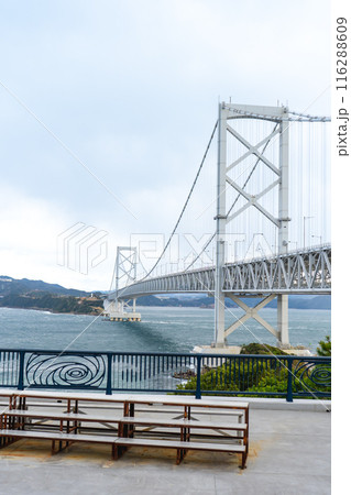 徳島県　鳴門海峡と大鳴門橋 116288609