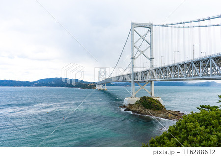 徳島県 鳴門海峡と大鳴門橋 徳島県 鳴門海峡と大鳴門橋 116288612