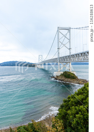 徳島県　鳴門海峡と大鳴門橋 116288613