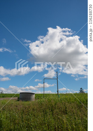 給水場のある緑の野菜畑と青空 116288730