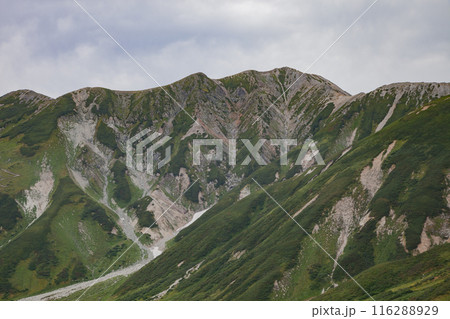 富山県立山で楽しむ美しい自然と絶景ハイキング 116288929