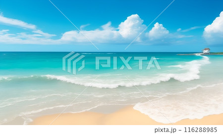 真夏の海が美しい 真夏の海が美しい 116288985