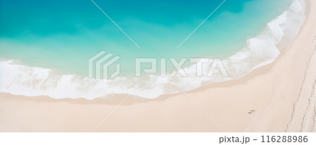 上から見た海 116288986