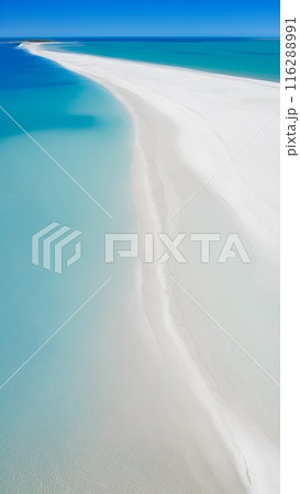 白い砂浜と海 白い砂浜と海 116288991