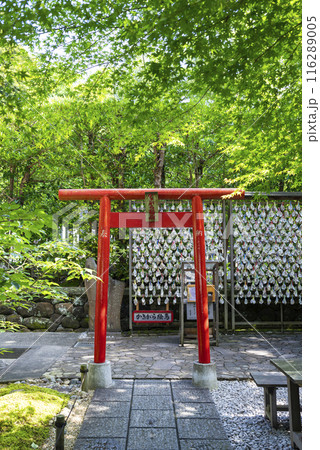 【縦写真】長谷寺のかきがら稲荷 116289005