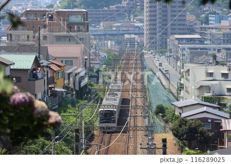 小田急 江ノ島線 善行 小田急 江ノ島線 善行 116289025