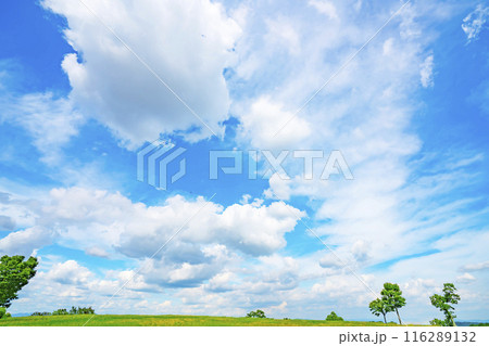 夏の青空と草原 夏の青空と草原 116289132