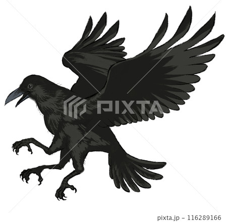 和風イラストの八咫烏のイラスト素材 [116289166] - PIXTA