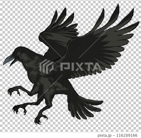 日式插畫中的八咫烏 116289166