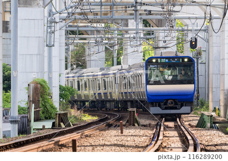 【横須賀線】高架下区間を走行する列車 【横須賀線】高架下区間を走行する列車 116289200