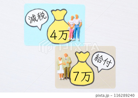 税金 税金 116289240