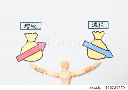 税金 税金 116289270
