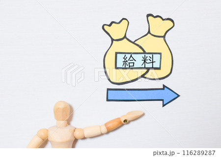 税金 税金 116289287