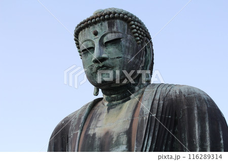 長谷　大仏 116289314