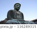 長谷　大仏 116289315
