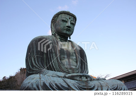 長谷　大仏 116289315