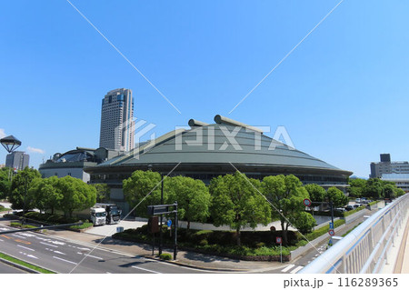 エディオンピースウイング広島から臨む広島グリーンアリーナ エディオンピースウイング広島から臨む広島グリーンアリーナ 116289365