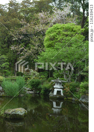 和風庭園 2024年春 116289413