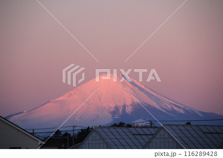 富士山　赤富士 116289428