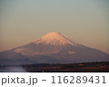 富士山　赤富士 116289431