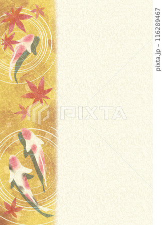 秋イメージの錦鯉と紅葉したモミジのフレーム・背景素材1（はがきサイズ） 116289467