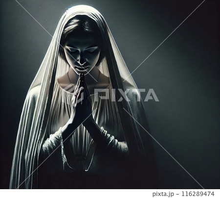 祈りのマリア1 祈りのマリア1 116289474