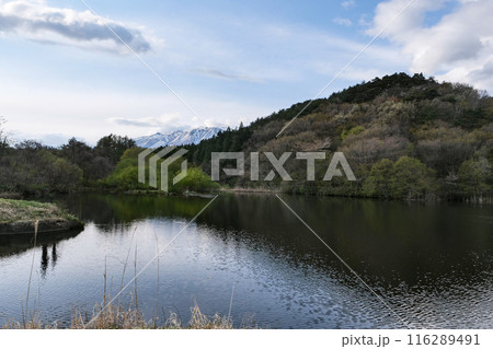 岩手県滝沢市小岩井付近　春が来た水面と岩手山 116289491