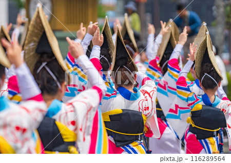 【徳島】阿波おどり 116289564
