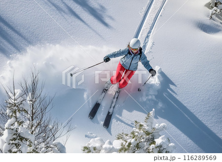 CG素材　パウダースノーの雪山でスキーを楽しむ女性　空撮 116289569