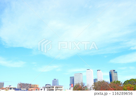 愛知県名古屋市、名古屋駅前超高層ビル群の風景 116289656