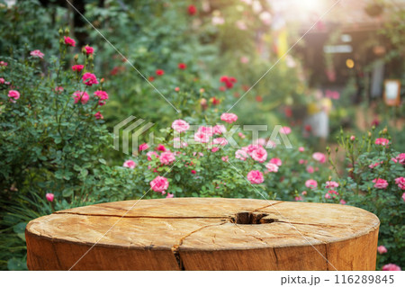 Empty old tree stump table top with blur rose garden background for product display 116289845