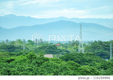 Electric power poles with power lines background Electric power poles with power lines background 116289966