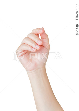 Woman hand gesture holding something isolated on white background 116289987