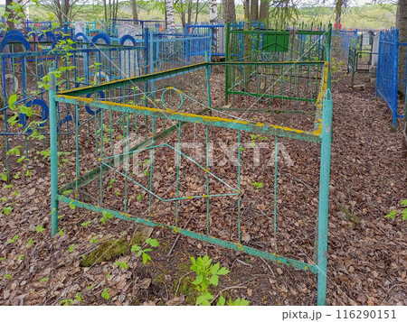 Old metal memorial fence with overgrown lichens, corrosion protruding from under the paint, bent elements due to the fall of fragments of large tree branches. Conceptual realism of how oblivion comes 116290151