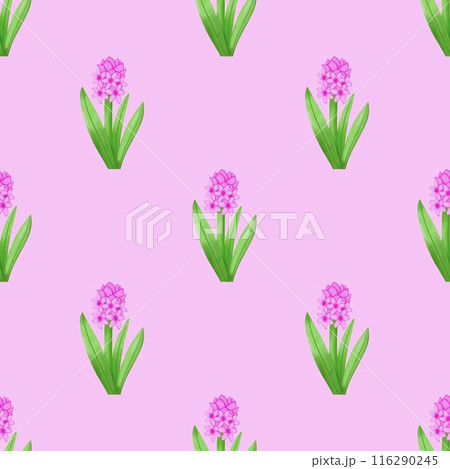 seamless pattern with tulips seamless pattern with tulips 116290245