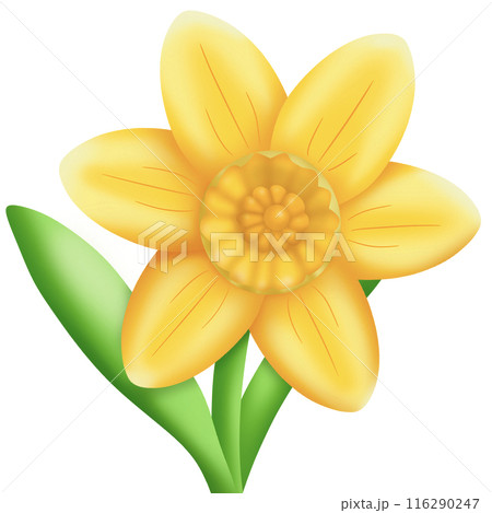 yellow flower with leaves yellow flower with leaves 116290247