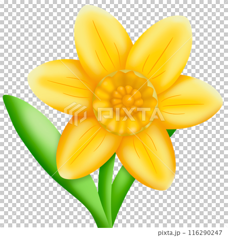 yellow flower with leaves yellow flower with leaves 116290247