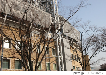 冬空の甲子園球場 冬空の甲子園球場 116290257
