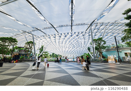 シンガポール チャンギ国際空港 ジュエルの人工滝 シンガポール チャンギ国際空港 ジュエルの人工滝 116290488