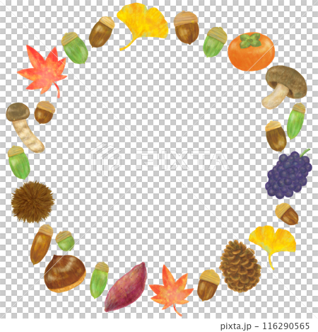 Autumn frame design circular 116290565