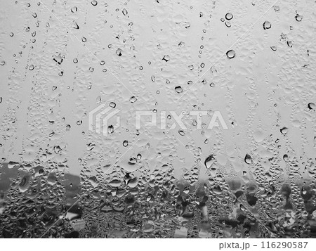 Close up of water droplets on a glass window during the day Close up of water droplets on a glass window during the day 116290587