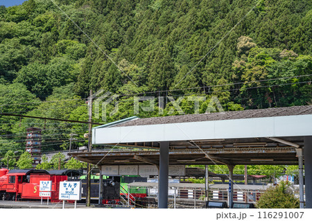 大井川鉄道千頭駅のホームの風景(静岡県) 116291007
