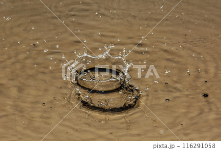 On the surface of the water formed a large and small crown from the fallen drops. From falling drops on the surface of the water formed a large and small crown 116291058