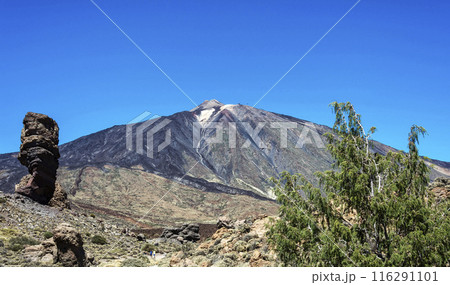 Mount and volcano Teide on the Spanish island of Tenerife (Canary Islands) Mount and volcano Teide on the Spanish island of Tenerife (Canary Islands) 116291101