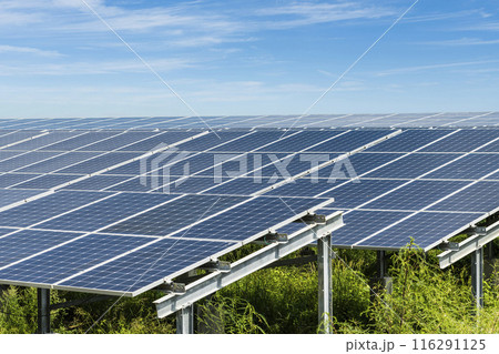 Close-up of Photovoltaic panels for renewable electrical energy production in Taiwan. Close-up of Photovoltaic panels for renewable electrical energy production in Taiwan. 116291125