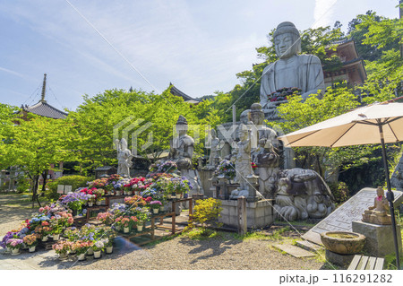壷阪寺　大釈迦如来石像と紫陽花 116291282