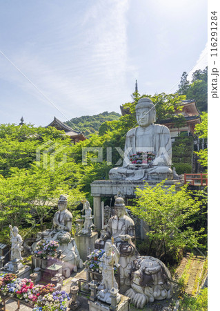 壷阪寺　大釈迦如来石像と紫陽花 116291284