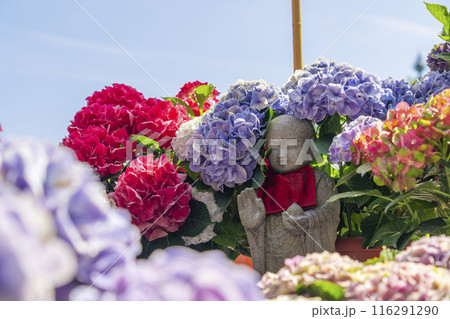 壷阪寺　紫陽花と石仏 116291290