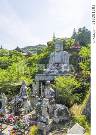 壷阪寺 大釈迦如来石像と紫陽花 壷阪寺 大釈迦如来石像と紫陽花 116291293
